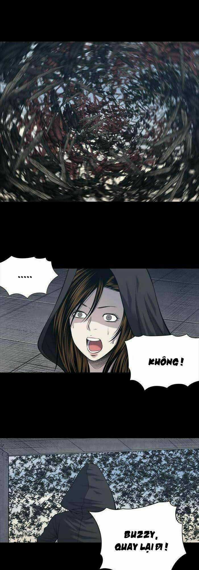 THẢM HỌA ONG ĐỘC Chapter 230 trang 8