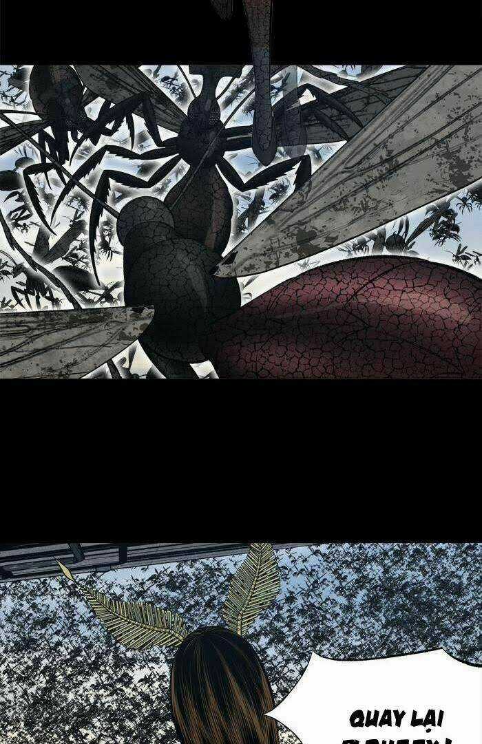 THẢM HỌA ONG ĐỘC Chapter 231 trang 11