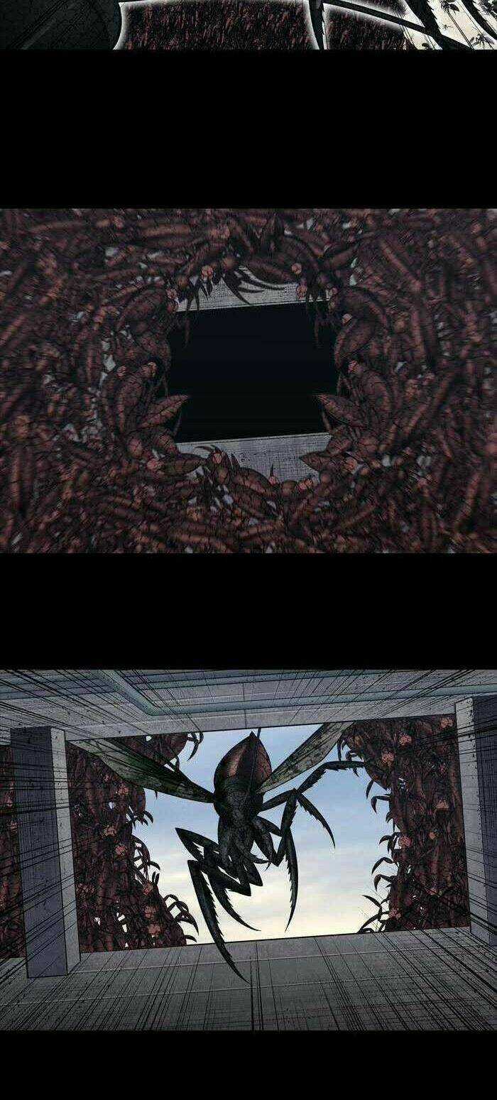 THẢM HỌA ONG ĐỘC Chapter 231 trang 16