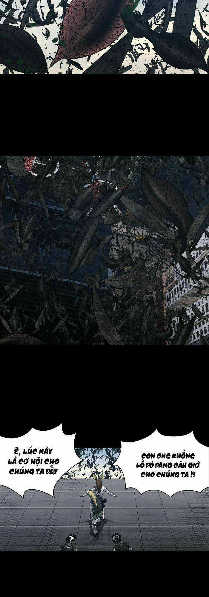 THẢM HỌA ONG ĐỘC Chapter 231 trang 2