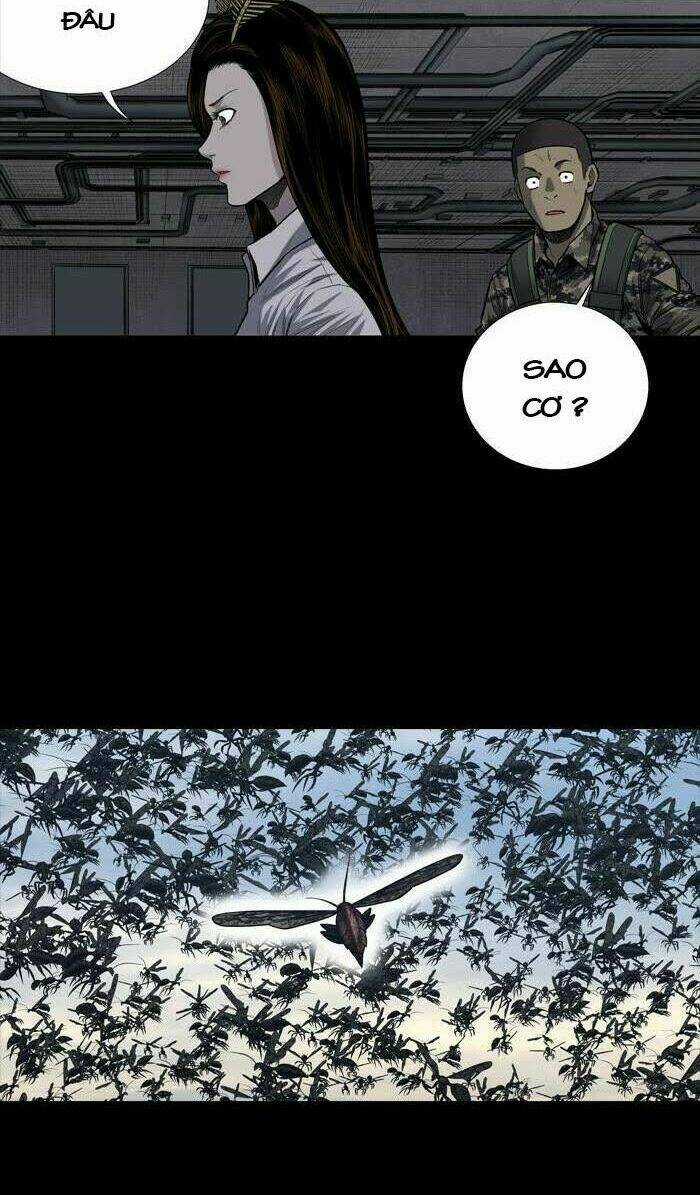 THẢM HỌA ONG ĐỘC Chapter 232 trang 12