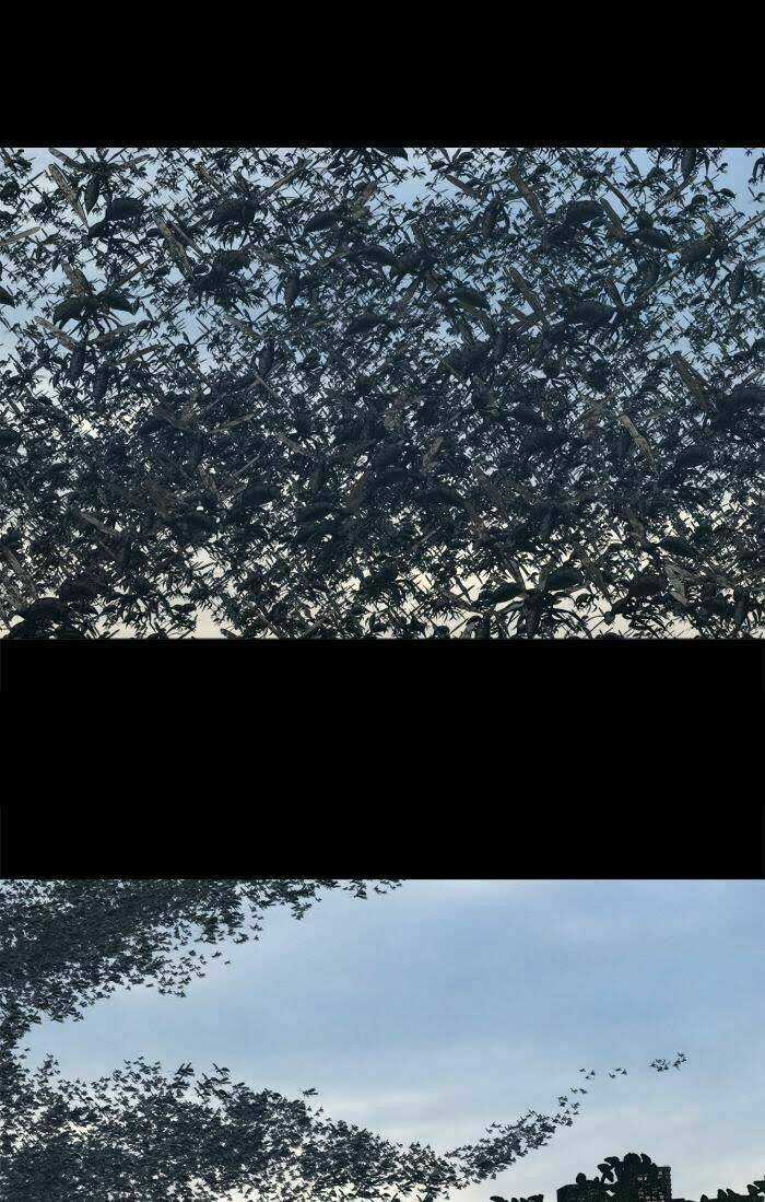 THẢM HỌA ONG ĐỘC Chapter 232 trang 19