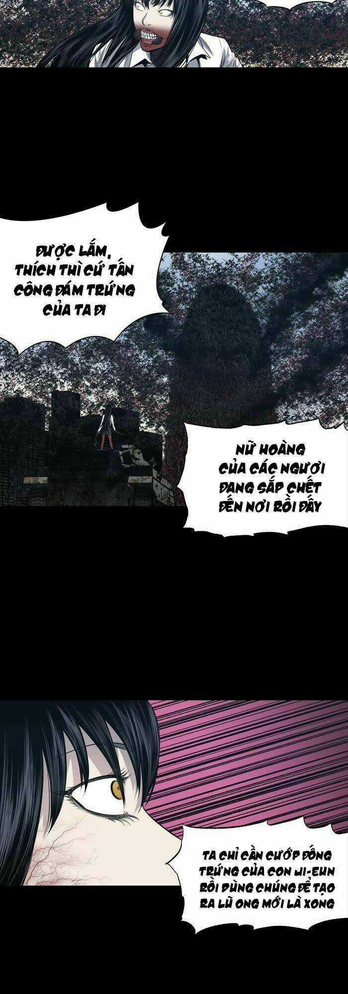 THẢM HỌA ONG ĐỘC Chapter 232 trang 6