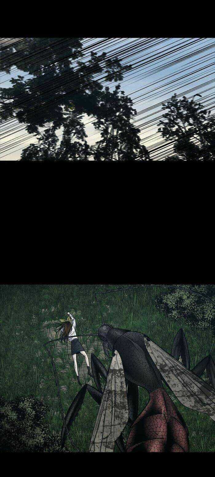 THẢM HỌA ONG ĐỘC Chapter 233 trang 17