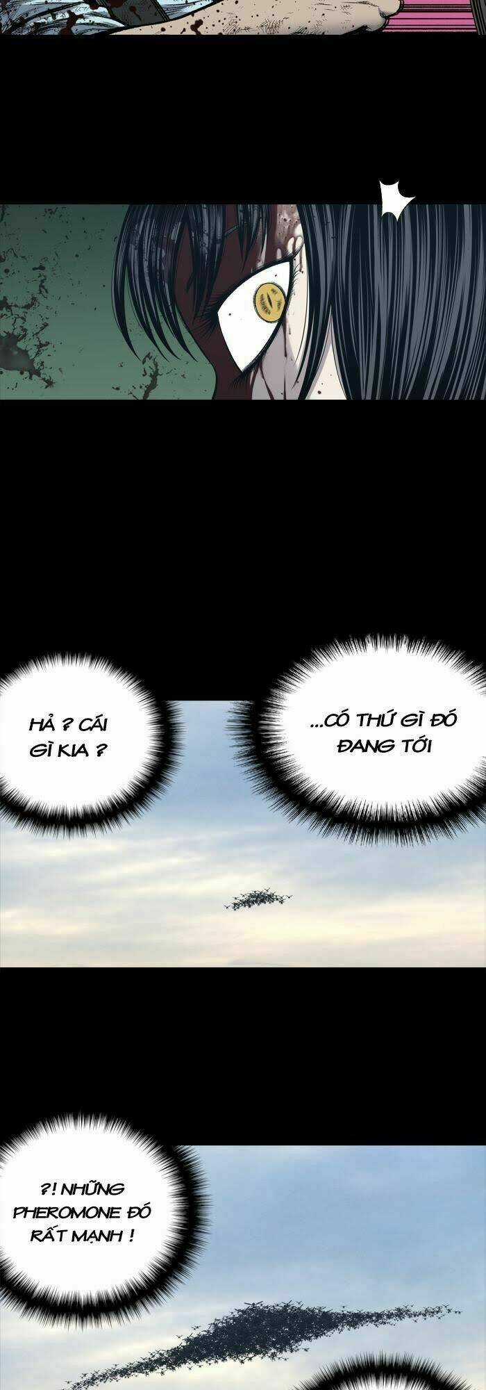 THẢM HỌA ONG ĐỘC Chapter 233 trang 30