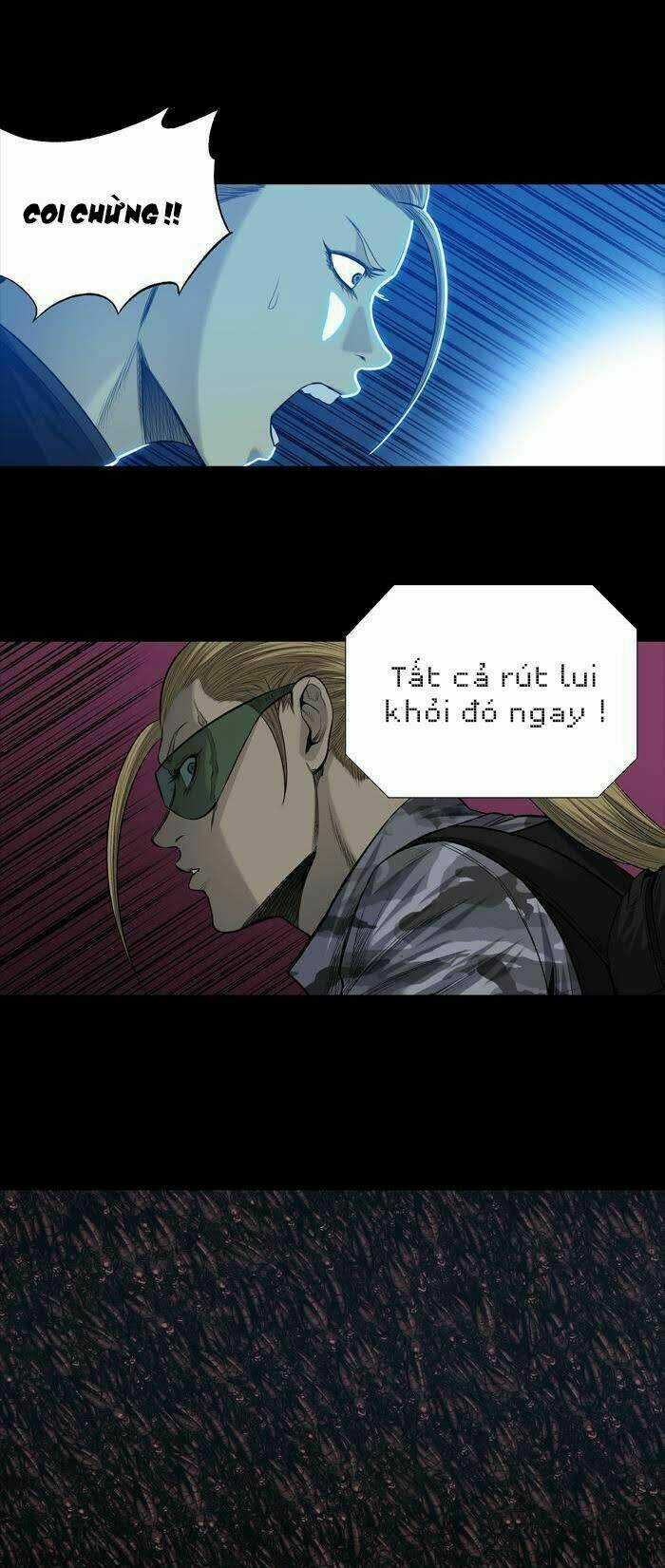 THẢM HỌA ONG ĐỘC Chapter 233 trang 5