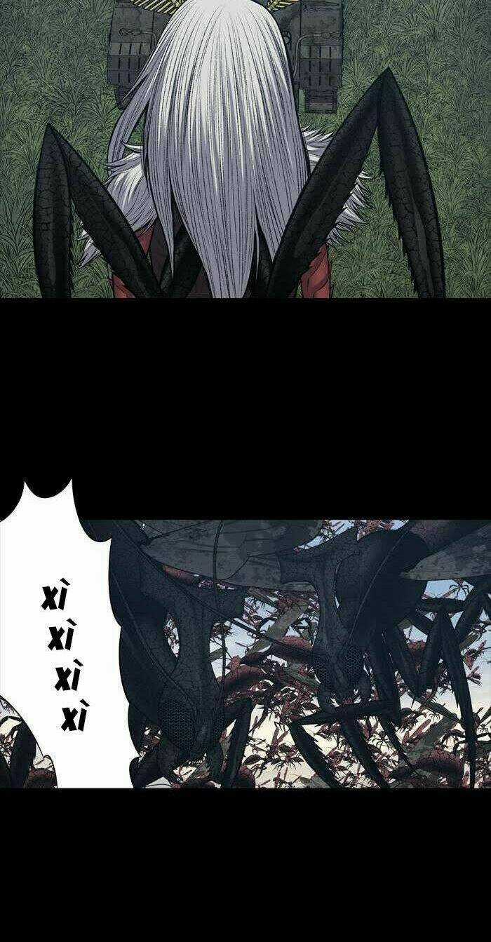 THẢM HỌA ONG ĐỘC Chapter 234 trang 24