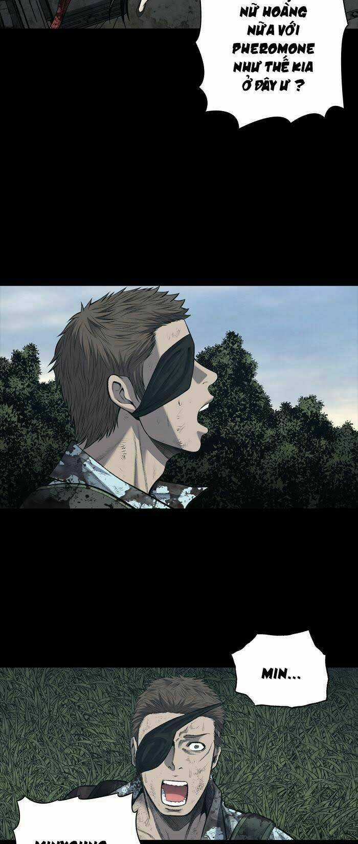 THẢM HỌA ONG ĐỘC Chapter 234 trang 3