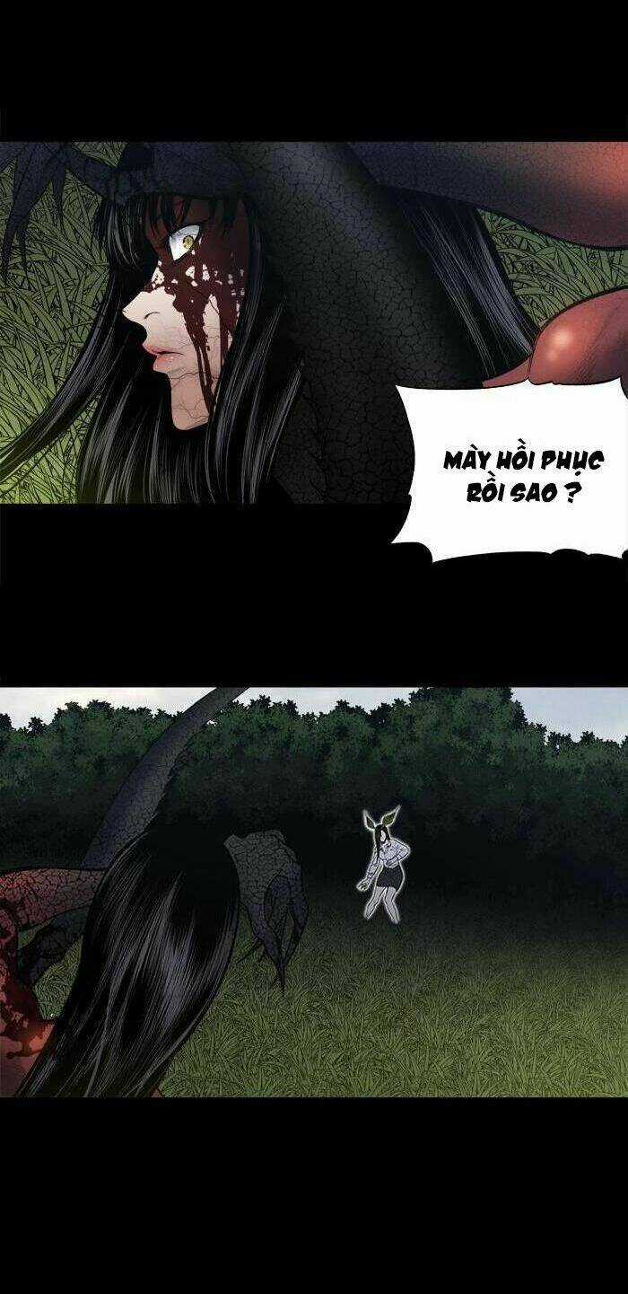 THẢM HỌA ONG ĐỘC Chapter 236 trang 11