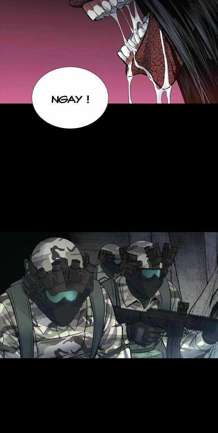 THẢM HỌA ONG ĐỘC Chapter 236 trang 21