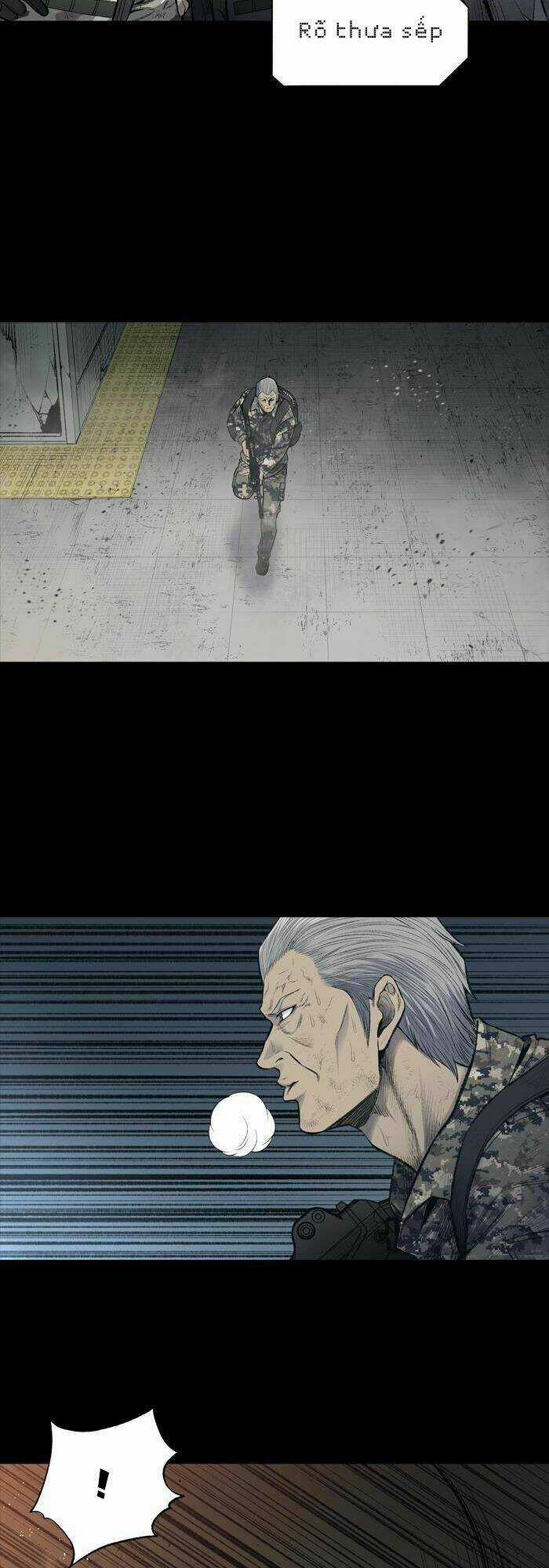 THẢM HỌA ONG ĐỘC Chapter 236 trang 28