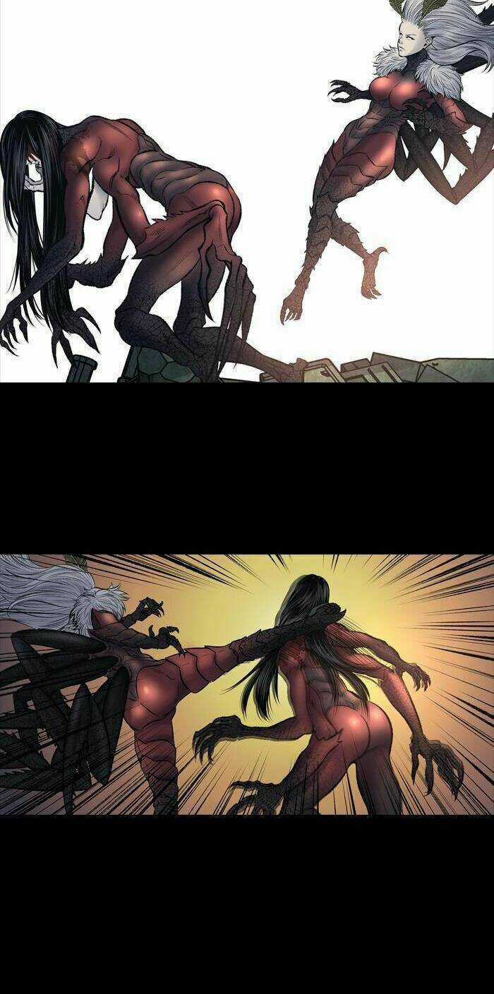 THẢM HỌA ONG ĐỘC Chapter 237 trang 11