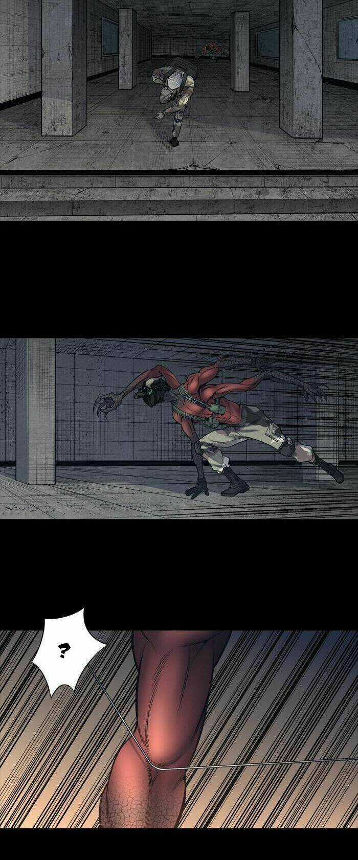 THẢM HỌA ONG ĐỘC Chapter 238 trang 30