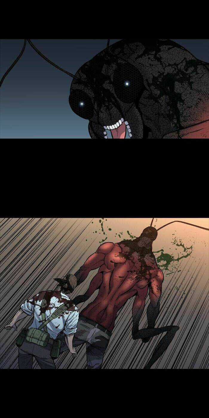 THẢM HỌA ONG ĐỘC Chapter 240 trang 4