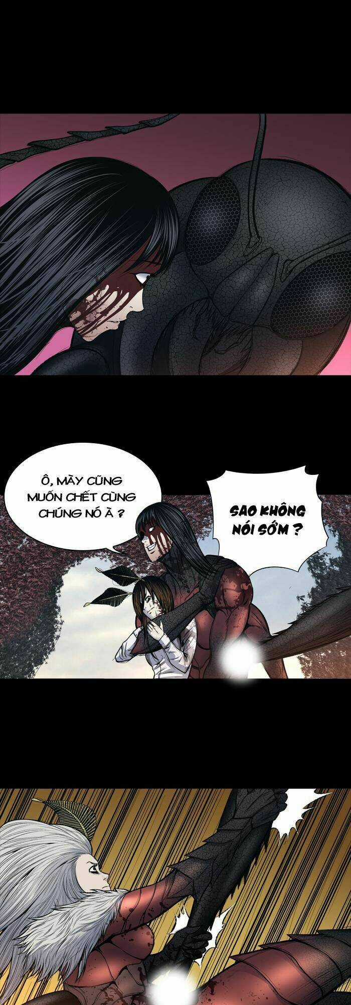 THẢM HỌA ONG ĐỘC Chapter 241 trang 13