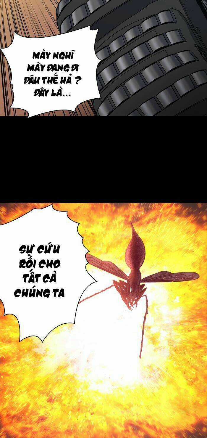 THẢM HỌA ONG ĐỘC Chapter 241 trang 15