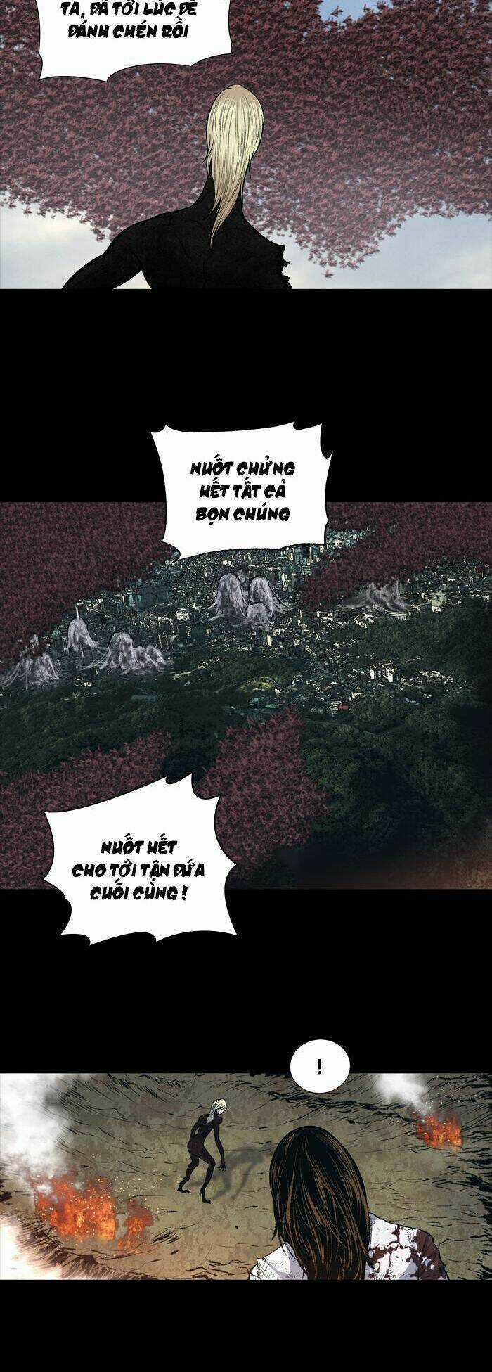 THẢM HỌA ONG ĐỘC Chapter 242 trang 3