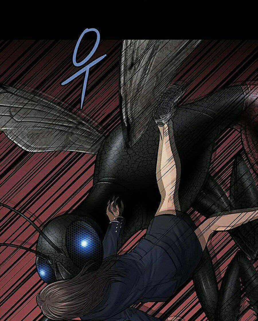 THẢM HỌA ONG ĐỘC Chapter 244 trang 57