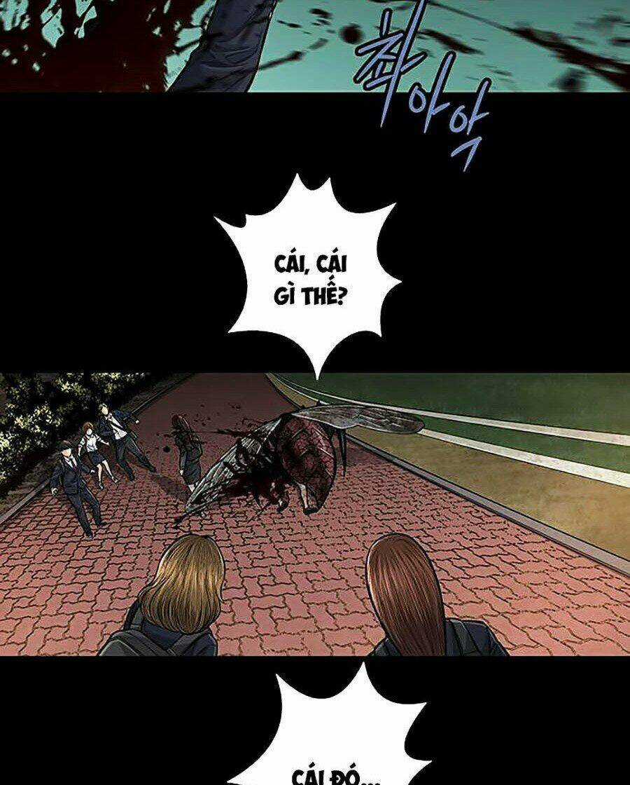 THẢM HỌA ONG ĐỘC Chapter 244 trang 59