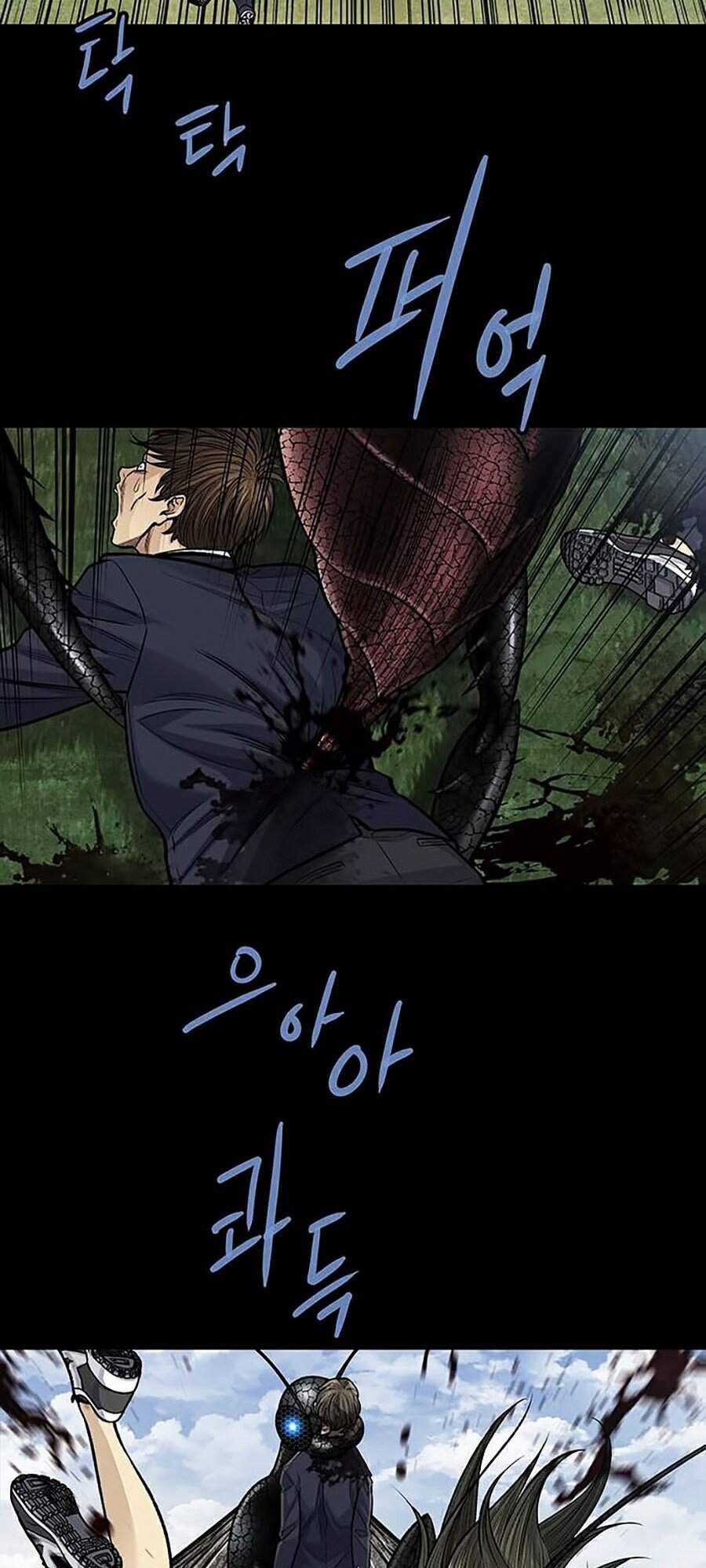 THẢM HỌA ONG ĐỘC Chapter 245 trang 10