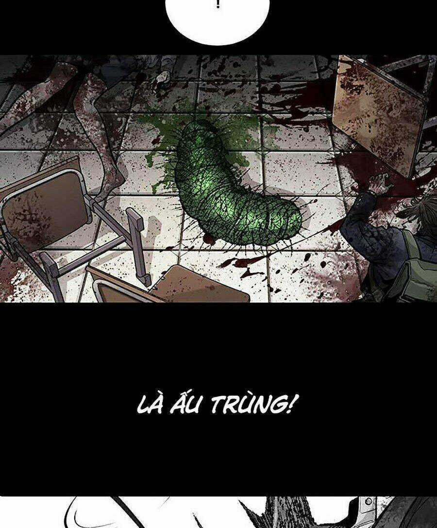 THẢM HỌA ONG ĐỘC Chapter 247 trang 11