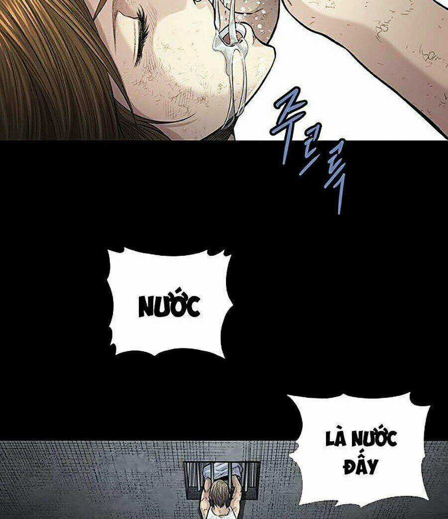 THẢM HỌA ONG ĐỘC Chapter 252 trang 38