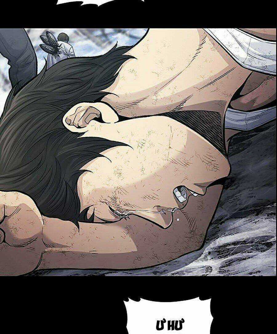 THẢM HỌA ONG ĐỘC Chapter 254 trang 20