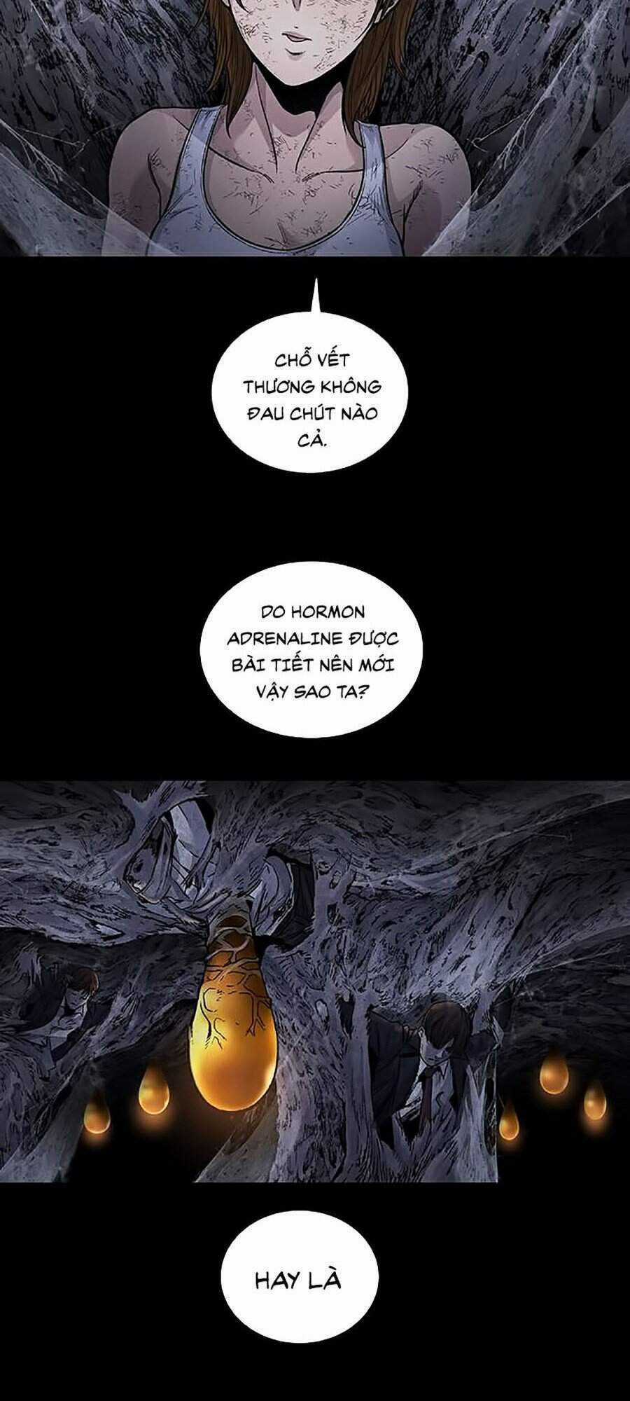 THẢM HỌA ONG ĐỘC Chapter 255 trang 30