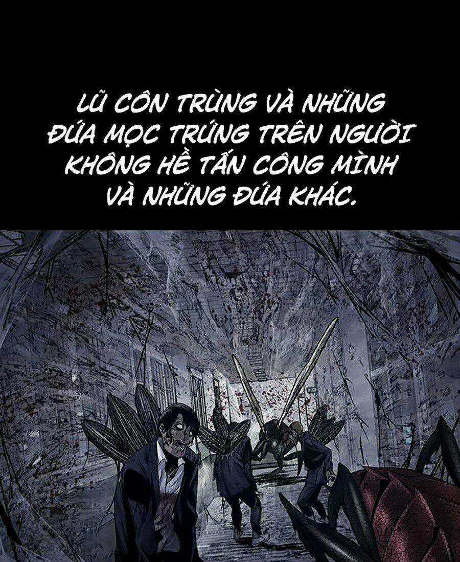 THẢM HỌA ONG ĐỘC Chapter 259 trang 4