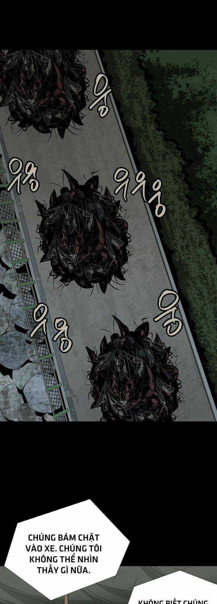 THẢM HỌA ONG ĐỘC Chapter 26 trang 37