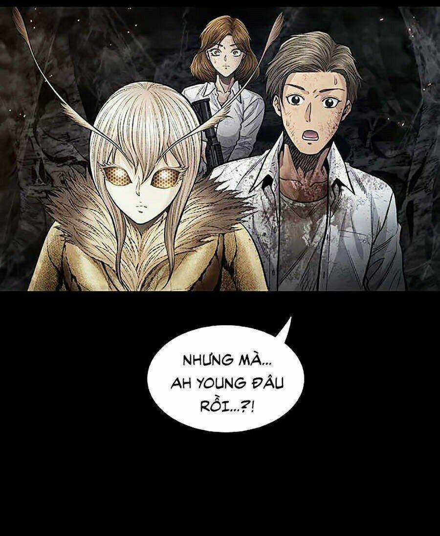 THẢM HỌA ONG ĐỘC Chapter 263 trang 61