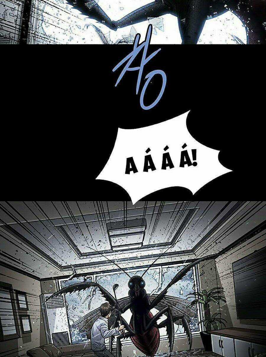 THẢM HỌA ONG ĐỘC Chapter 265 trang 5