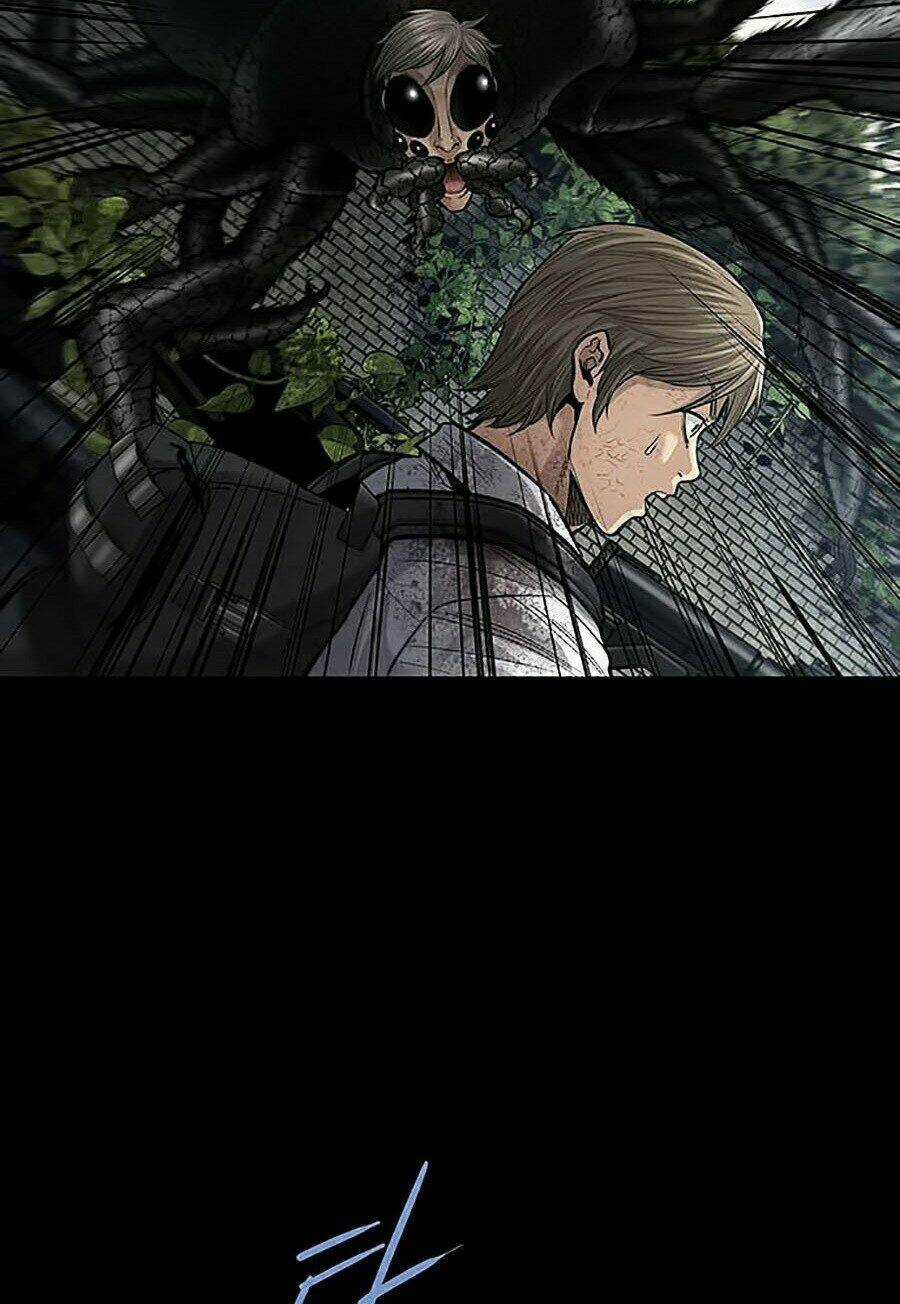 THẢM HỌA ONG ĐỘC Chapter 266 trang 31