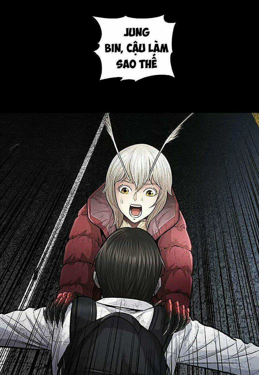 THẢM HỌA ONG ĐỘC Chapter 266 trang 34