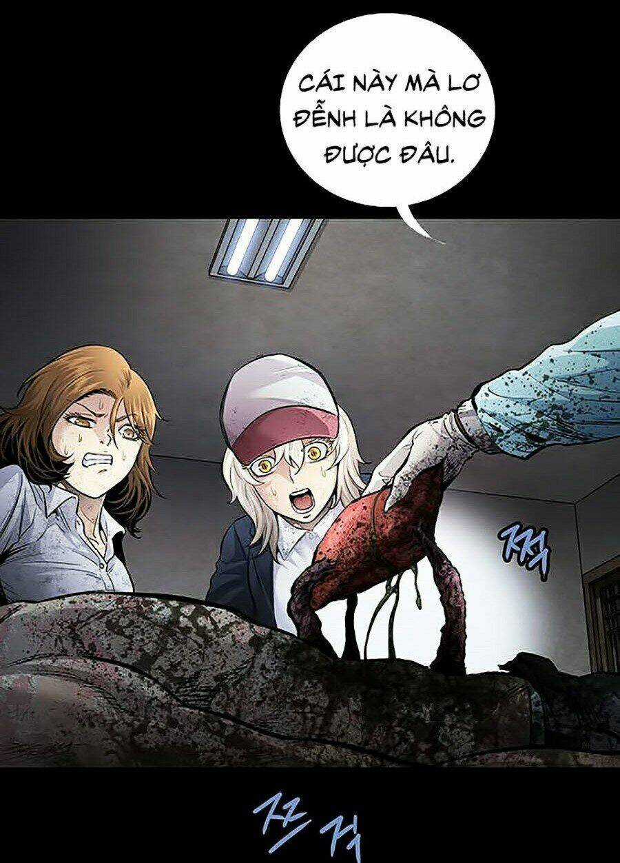 THẢM HỌA ONG ĐỘC Chapter 276 trang 55