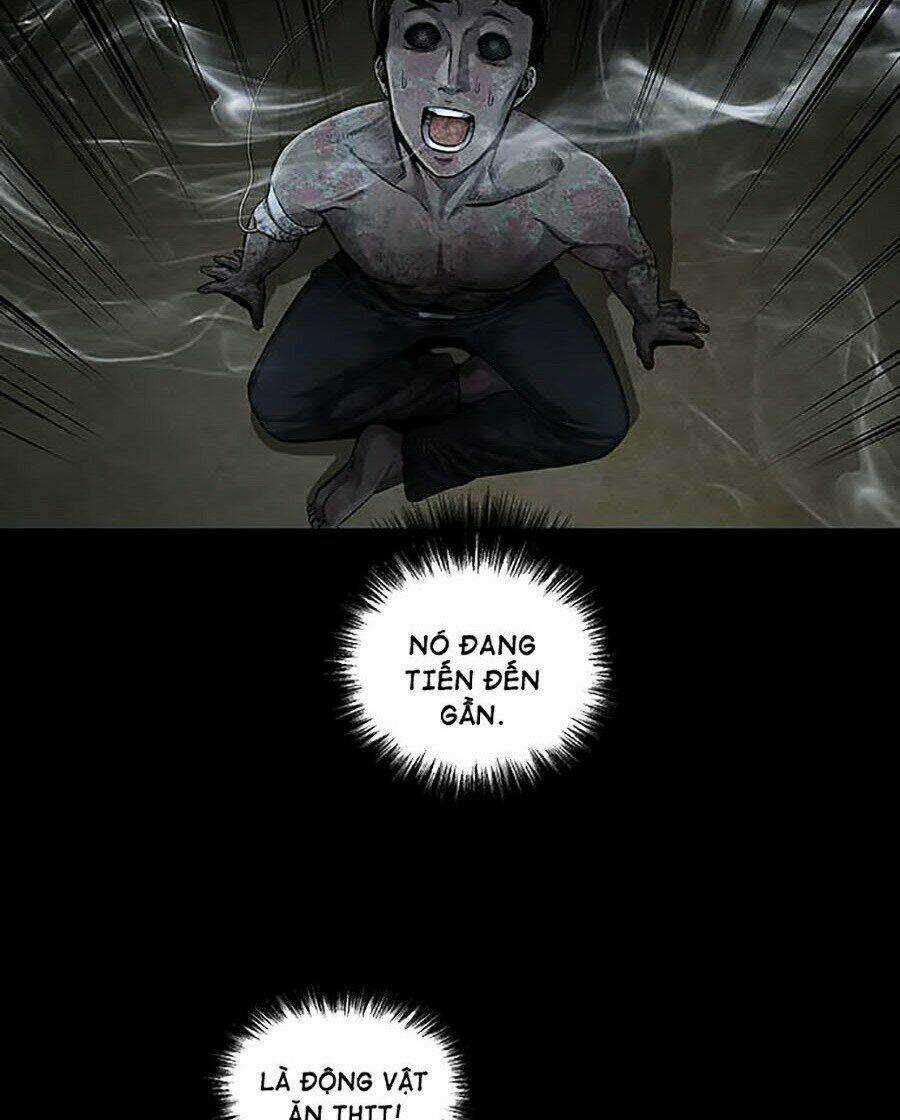 THẢM HỌA ONG ĐỘC Chapter 279 trang 50