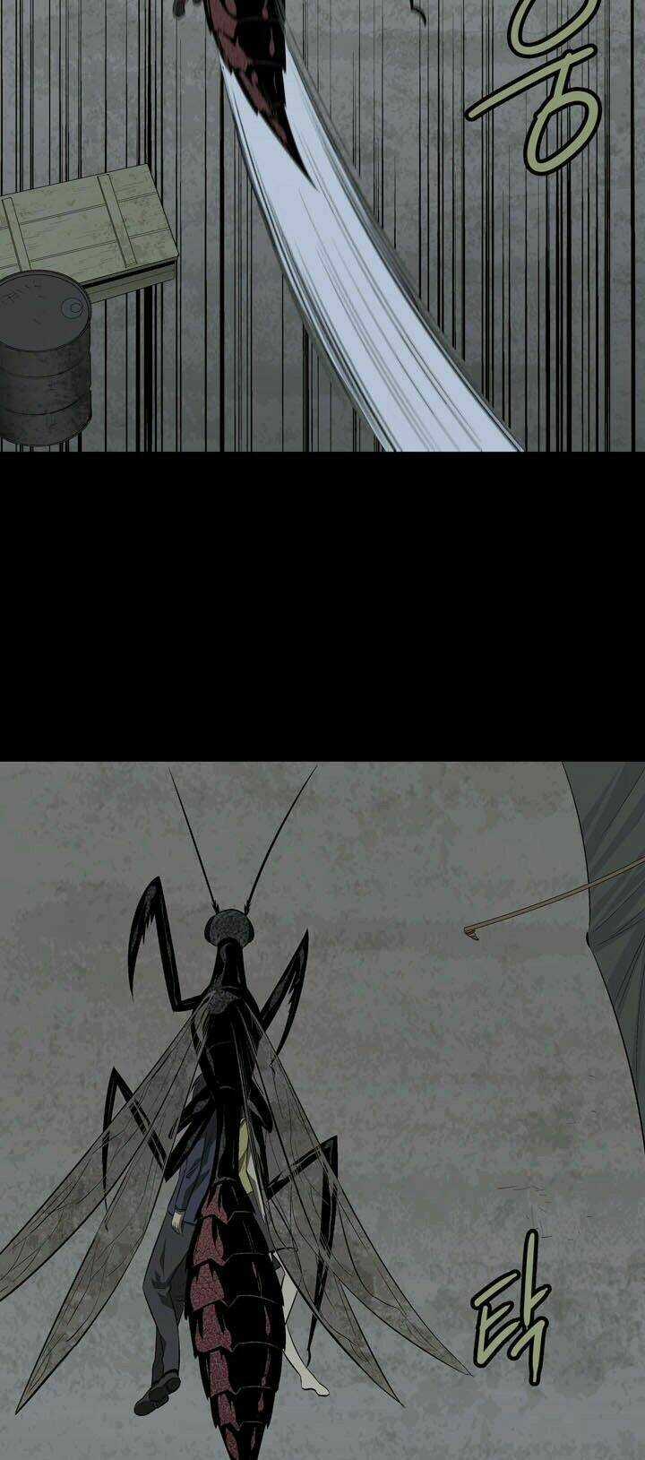 THẢM HỌA ONG ĐỘC Chapter 28 trang 39