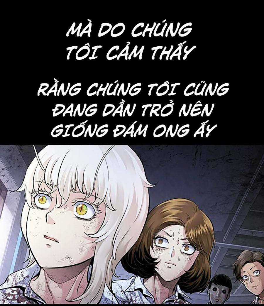 THẢM HỌA ONG ĐỘC Chapter 288 trang 17