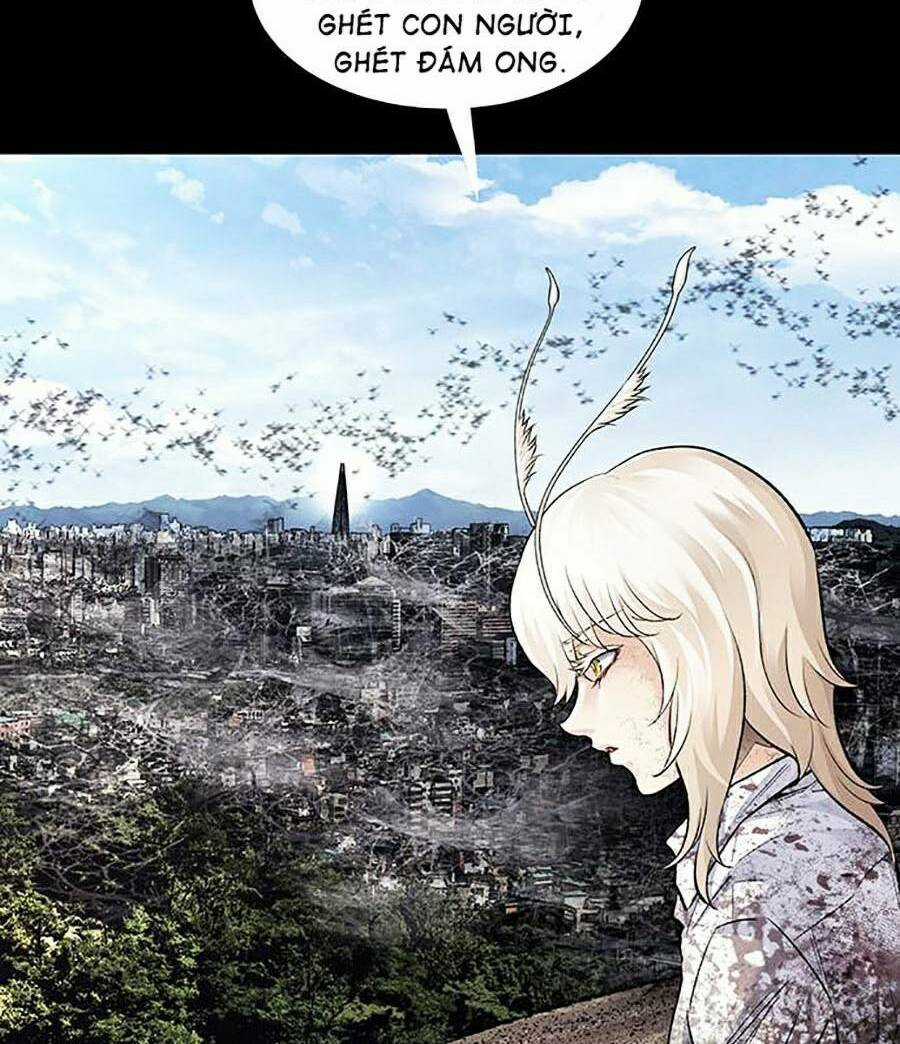 THẢM HỌA ONG ĐỘC Chapter 288 trang 24