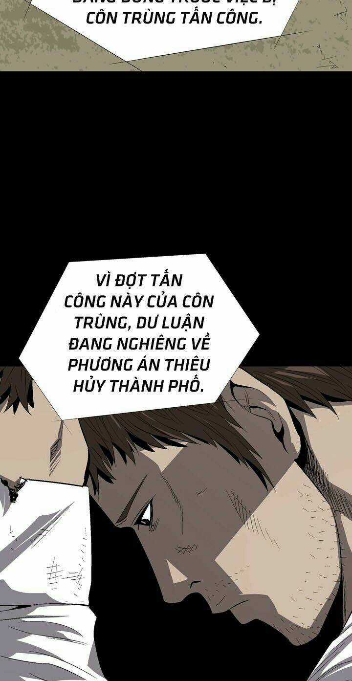 THẢM HỌA ONG ĐỘC Chapter 30 trang 31