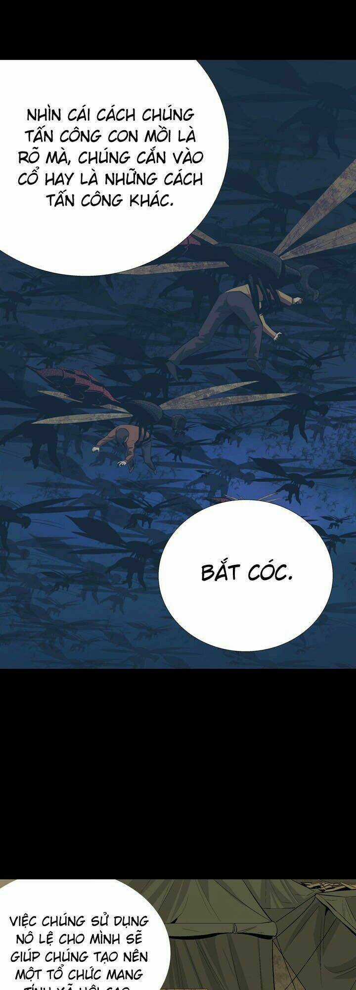 THẢM HỌA ONG ĐỘC Chapter 30 trang 49