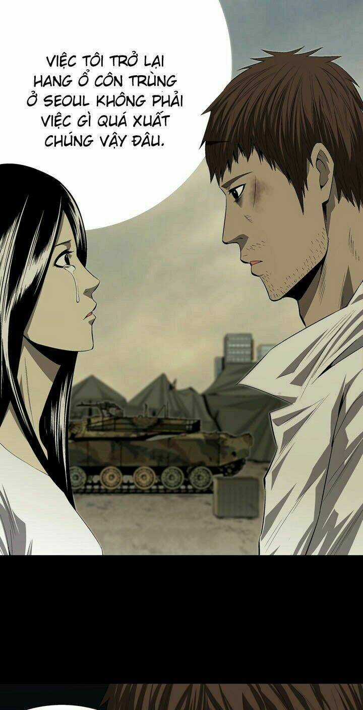 THẢM HỌA ONG ĐỘC Chapter 31 trang 15