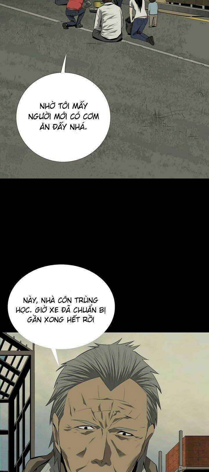 THẢM HỌA ONG ĐỘC Chapter 32 trang 39