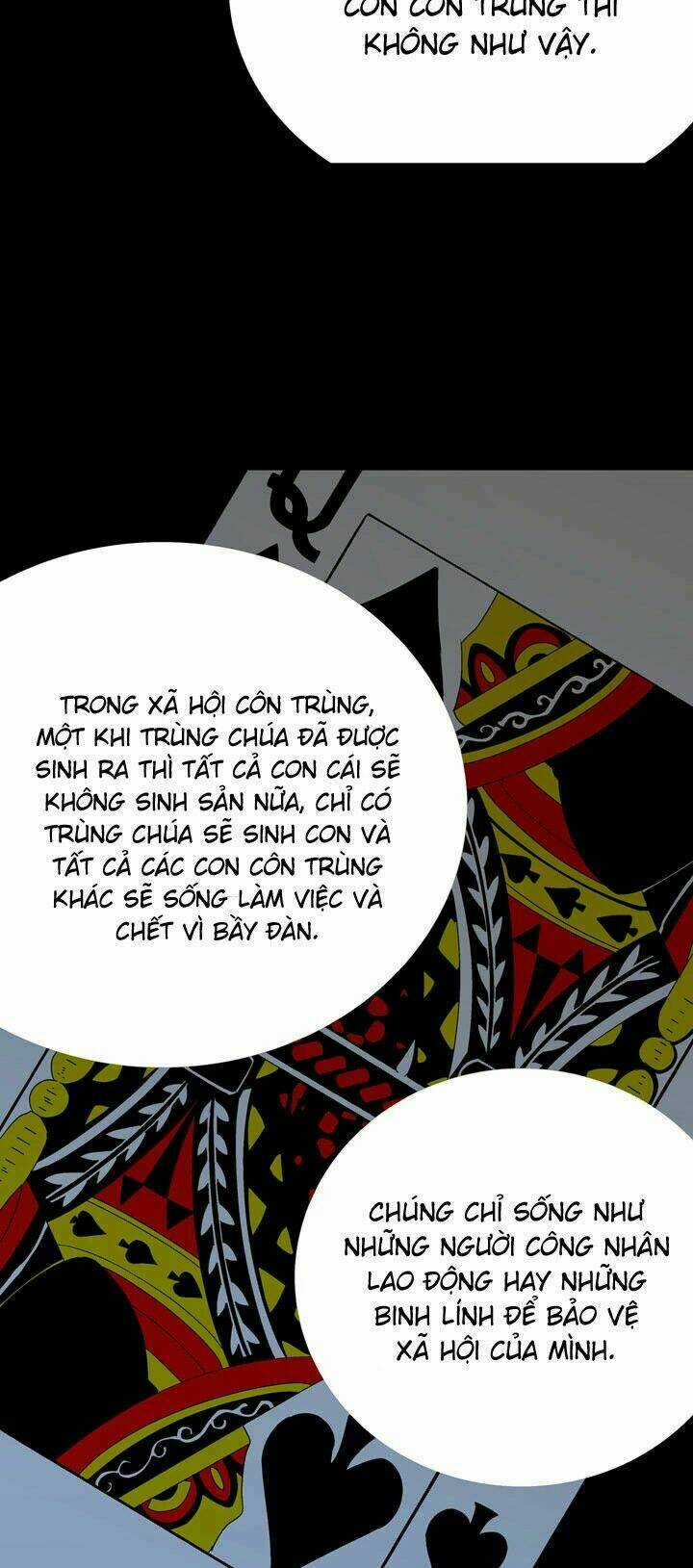 THẢM HỌA ONG ĐỘC Chapter 32 trang 43