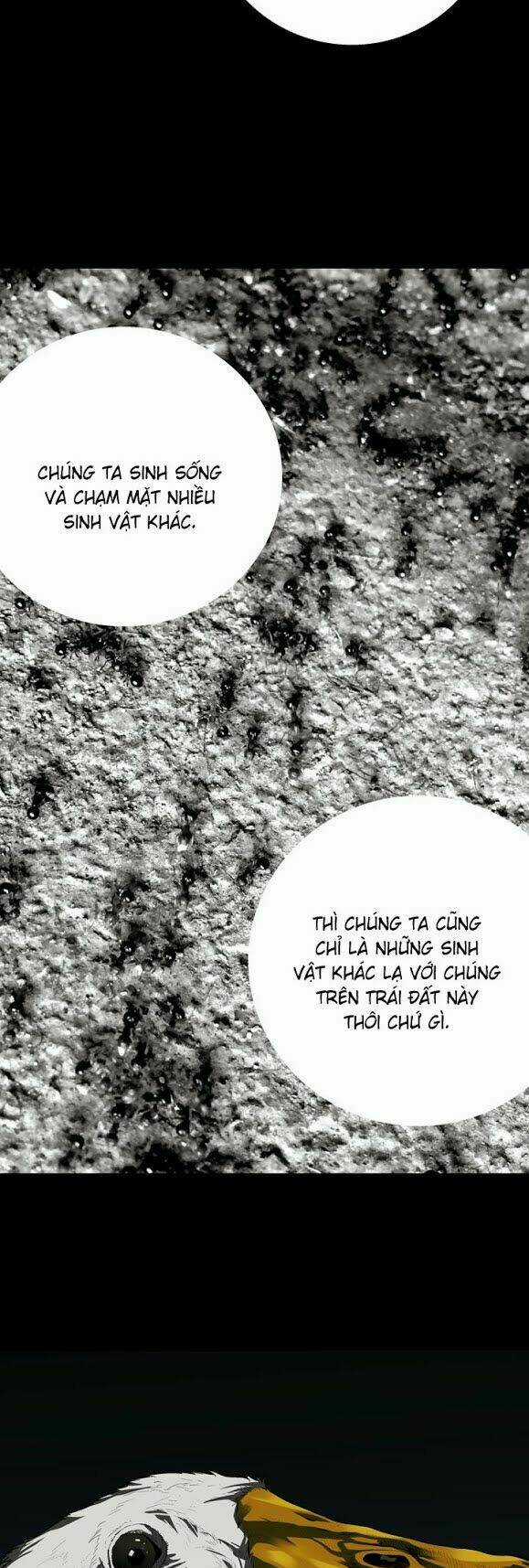 THẢM HỌA ONG ĐỘC Chapter 33 trang 26