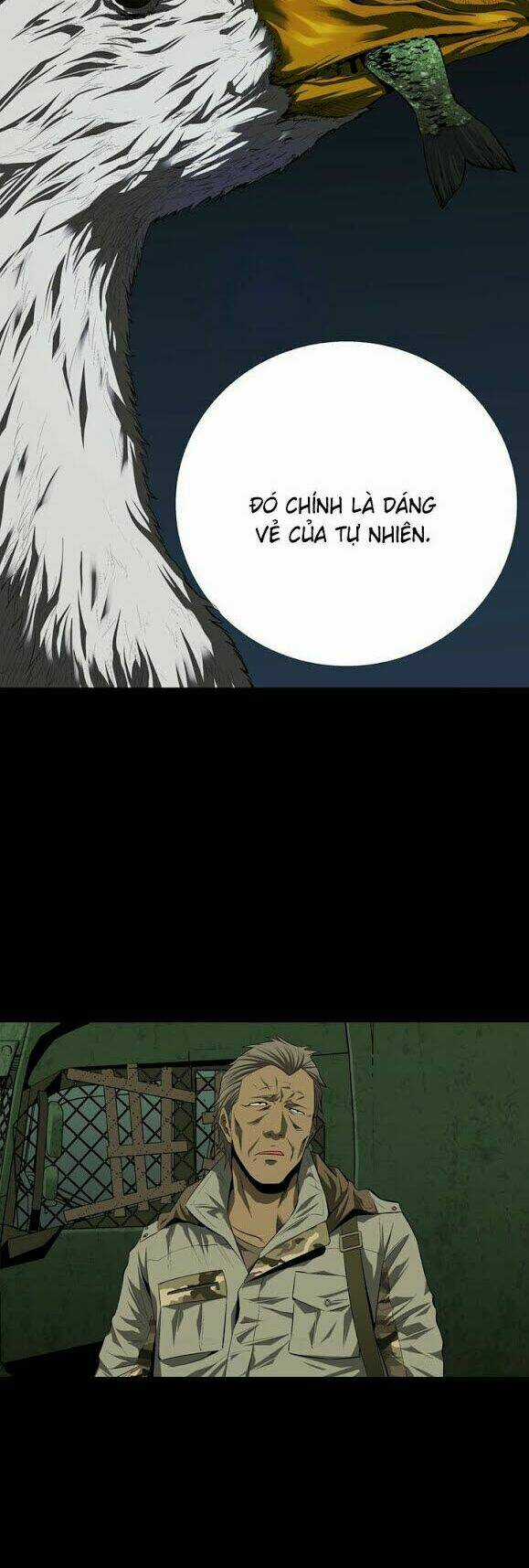 THẢM HỌA ONG ĐỘC Chapter 33 trang 27