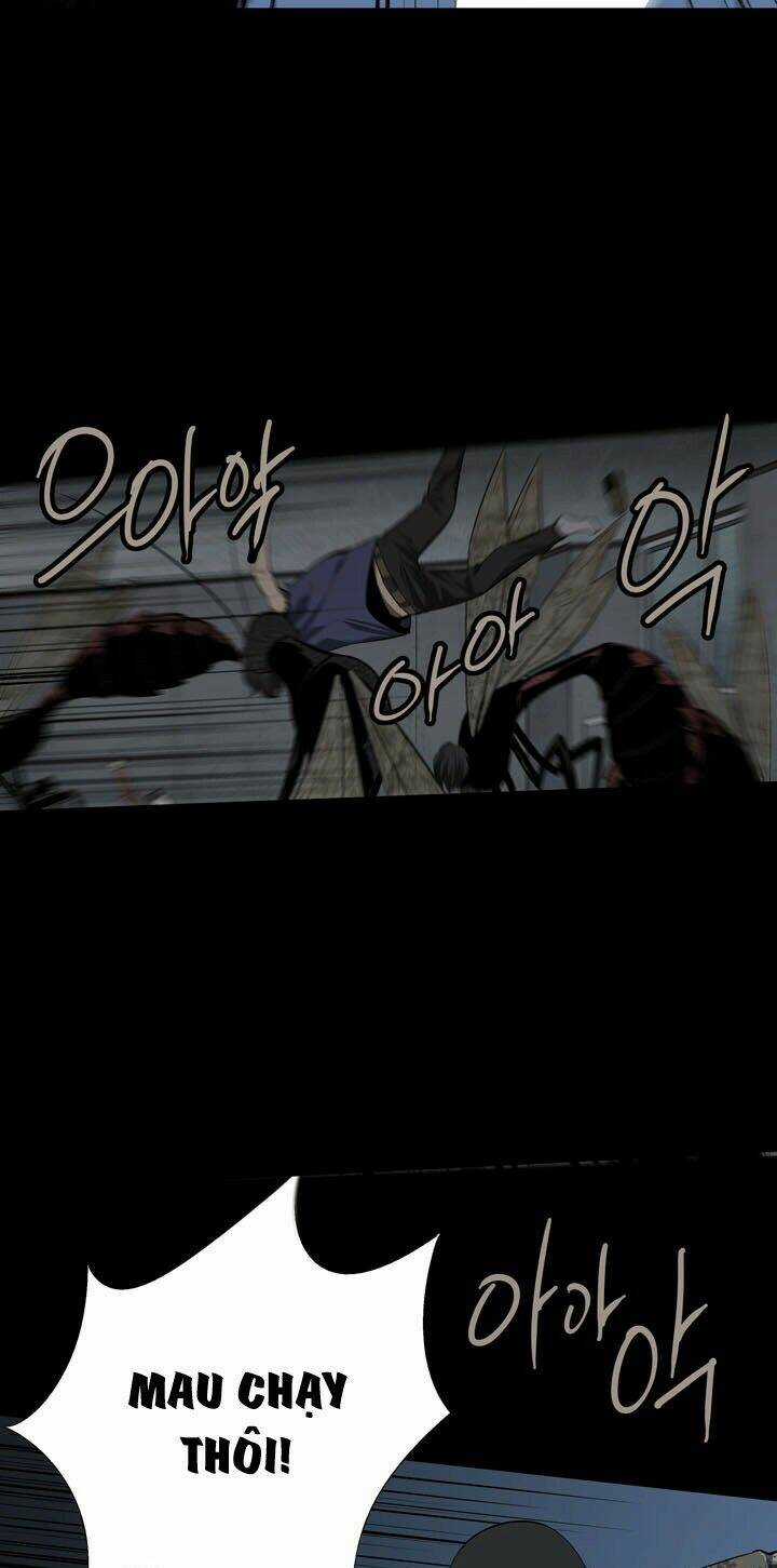 THẢM HỌA ONG ĐỘC Chapter 42 trang 33