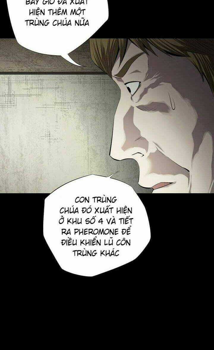 THẢM HỌA ONG ĐỘC Chapter 49 trang 20