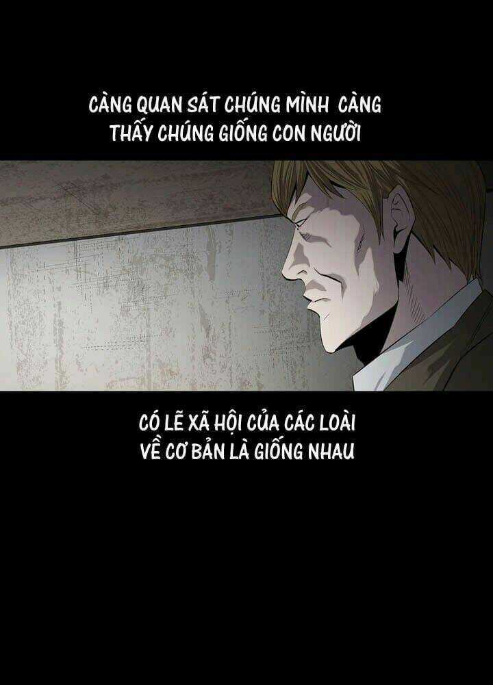 THẢM HỌA ONG ĐỘC Chapter 49 trang 31