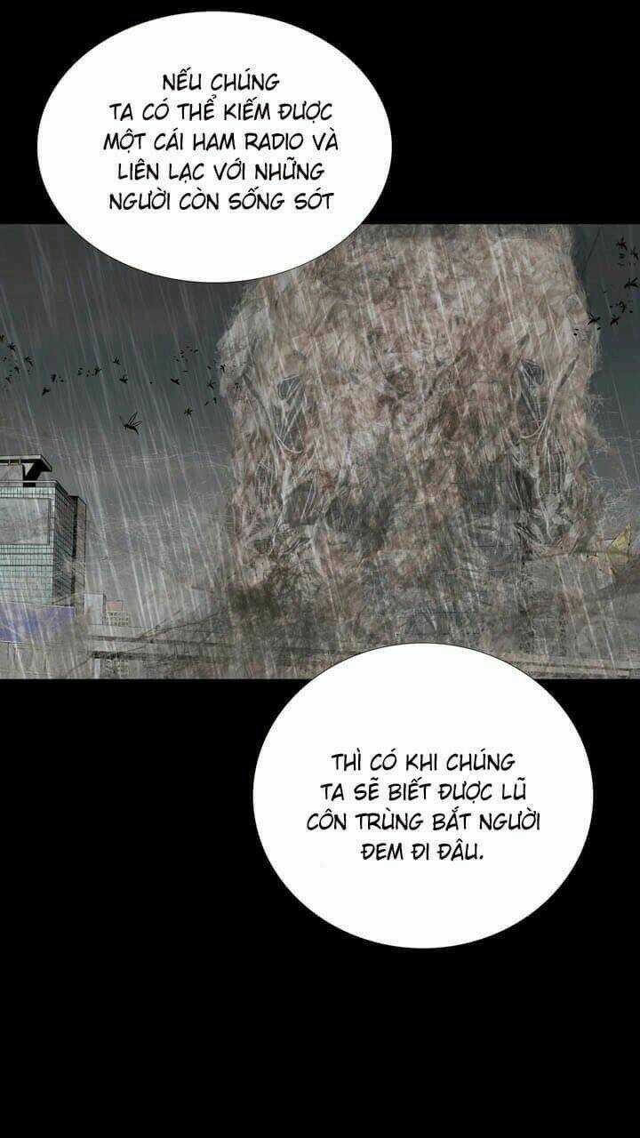 THẢM HỌA ONG ĐỘC Chapter 49 trang 51